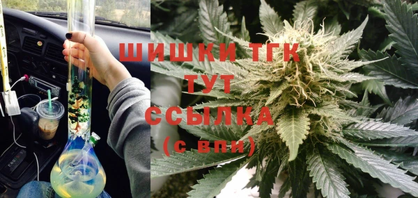 прущие грибы Балабаново