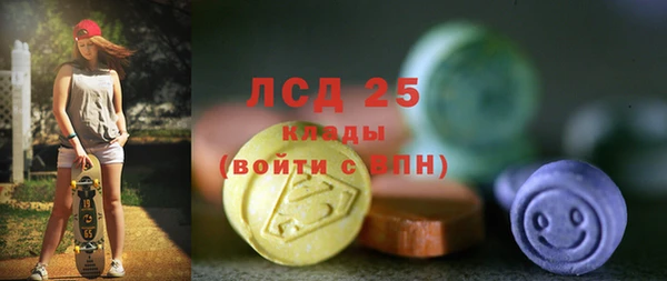 прущие грибы Балабаново