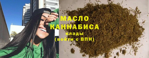 гидра Покачи