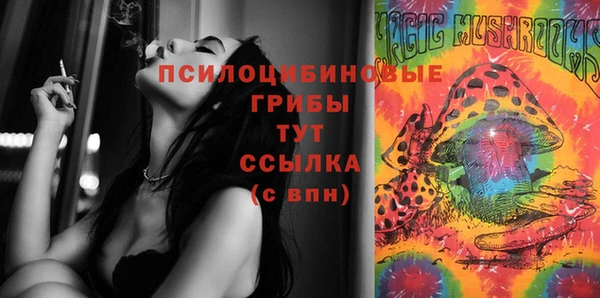 прущие грибы Балабаново