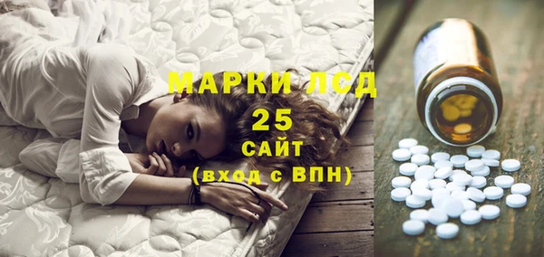 прущие грибы Балабаново