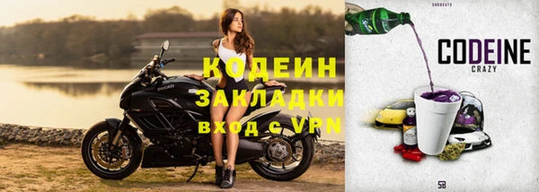 прущие грибы Балабаново
