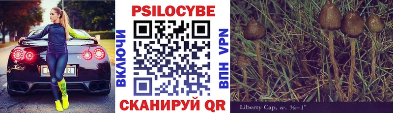 как найти наркотики  Нижняя Салда  Псилоцибиновые грибы Magic Shrooms 